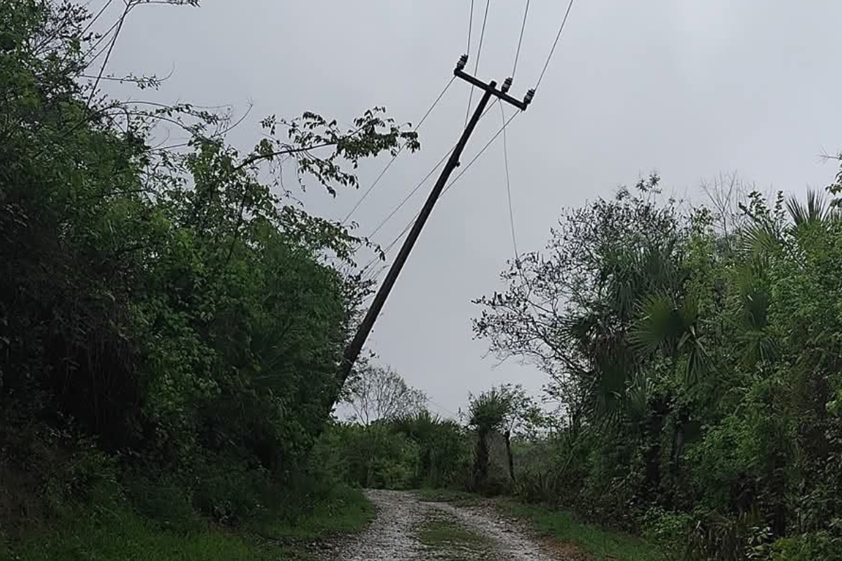 Tres comunidades serán afectadas por la interrupción del servicio, informó la CFE Foto: Salomón Hernández