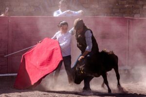 El toro bravo es pieza clave en el ecosistema rural mexicano, según destaca Salvador López
