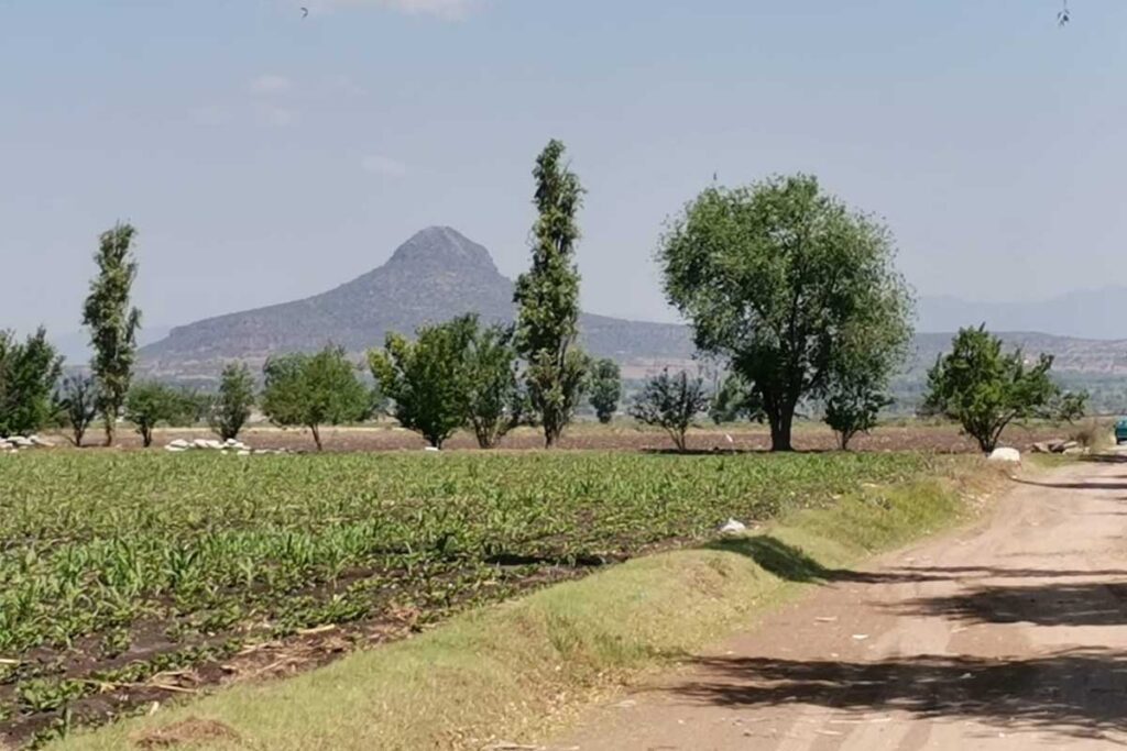 Los campesinos no contarán con agua de riego durante seis meses, por lo que perderán dos ciclos agrícolas