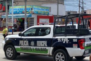 Las matrículas buscan favorecer la identificación de los elementos, dijo la alcaldesaFoto: Archivo
