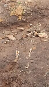 En Tulancingo, un deslave provocado por lluvias intensas dejó al descubierto restos óseos humanos en la colonia San Juan, según informó la Secretaría de Seguridad Ciudadana