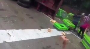 Tras accidente en la autopista, se registraron robos de la mercancía en el lugar