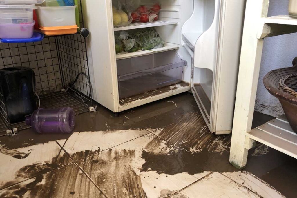 El hogar de Martha, en Los Tuzos, estaba inhabitable: los muebles sucios e hinchados por el agua, la loseta del piso levantada, las paredes filtradas e incluso, el refrigerador lleno de aguas negras