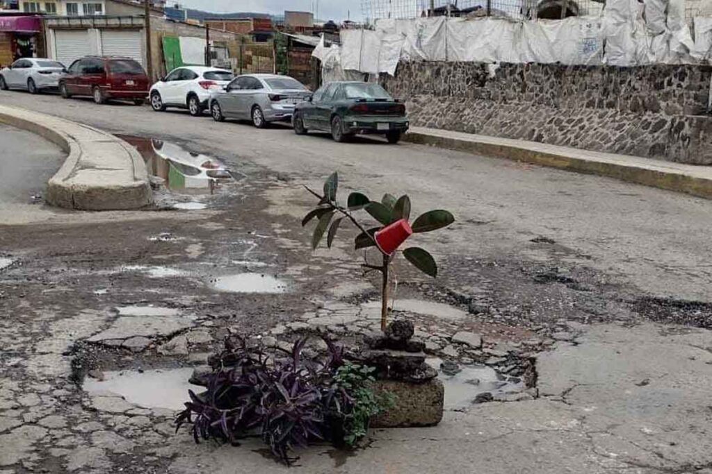 Vecinos de la UHP sembraron algunas plantas y árboles en baches