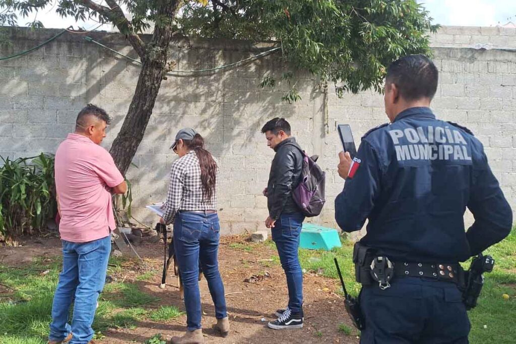 El cuadrúpedo fue llevado a una clínica de medicina veterinaria para su atención
