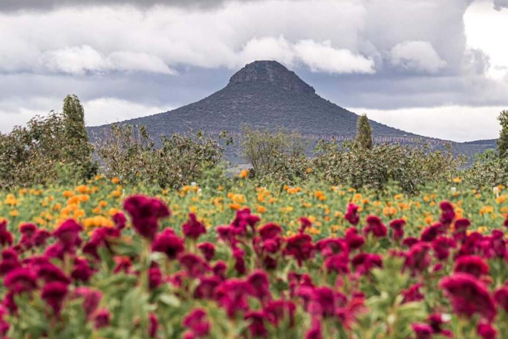 Ya se han iniciado los trámites administrativos ante la Secretaría de Medio Ambiente de Hidalgo (Semarnath) para la declaratoria del Xicuco como área protegida