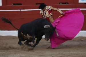 En Hidalgo, propuesta de prohibición de corridas de toros lleva detenida 100 días