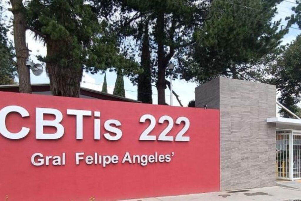 ¿Cuántos estudiantes en Hidalgo fueron sorprendidos con armas de fuego en escuelas?