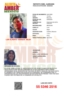 Luis Burgos, de 16 años, desapareció el mismo día junto con Abril