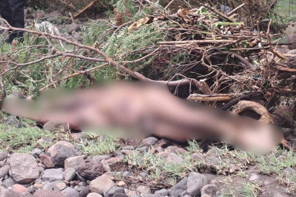 Hallan en Tula el cuerpo sin vida de un quincuagenario; ¿de qué falleció la víctima?