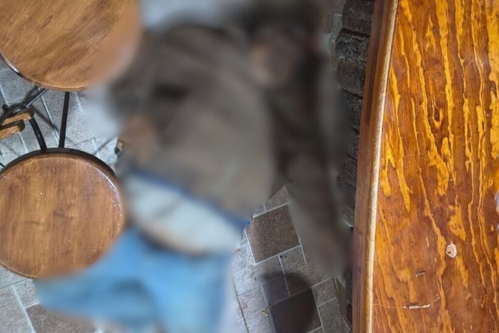 Violencia en Villa de Tezontepec: Ejecutan a un hombre dentro de una cantina