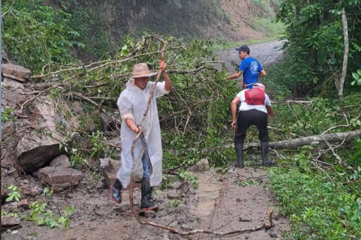 Se retiraron los obstáculos de los caminos | Foto: Especial
