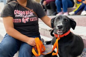 Con la participación activa de los ciudadanos, Tlahuelilpan continúa promoviendo la salud pública y el respeto por los animales a través de sus jornadas periódicas
