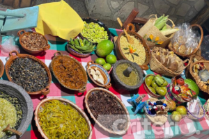 En el bosque de Mineral del Chico se ofrecerán actividades micológicas, culturales y culinarias para todo público