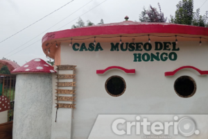 Sumérgete en el fascinante mundo fungi de Omitlán de Juárez, donde la Casa del Hongo te espera con el sabor de 37 variedades de hongos comestibles