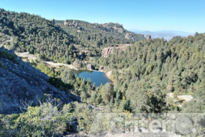 El parque nacional El Chico fue afectado por el gusano descortezadorFoto: Archivo