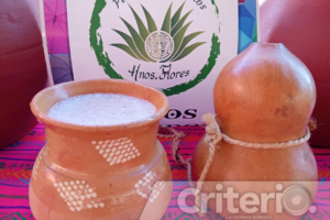 Cada parte de esta planta se aprovecha en guisos, tortillas, bebidas y hasta textiles artesanales