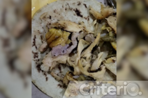 De las enchiladas huastecas al ximbó actopense, la gastronomía regional refleja la diversidad cultural del estado