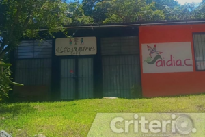 Desde San Bartolo Tutotepec, impulsa el consumo de café local con calidad y técnicas que enaltecen el grano de la región Otomí-Tepehua