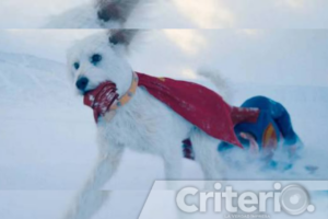 El personaje de Krypto, basado en el perro Ozu, motivó un aumento masivo en búsquedas para adoptar