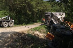 Toda la mercancía murió tras el impacto y el calor.