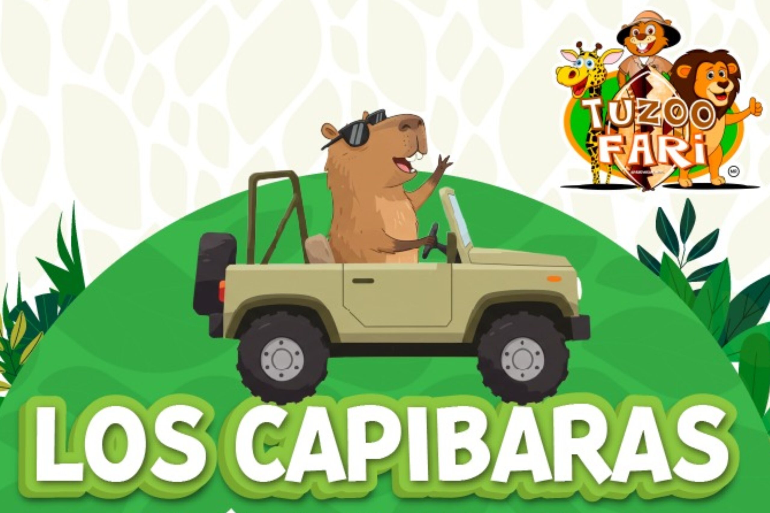 ¡Capibaras en camino! Tuzoofari anuncia la llegada de estos adorables gigantes del reino animal