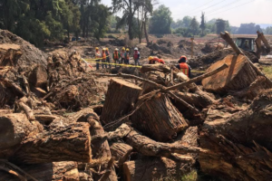 Delitos contra el medio ambiente en Hidalgo: Un incremento del 91% en solo un año