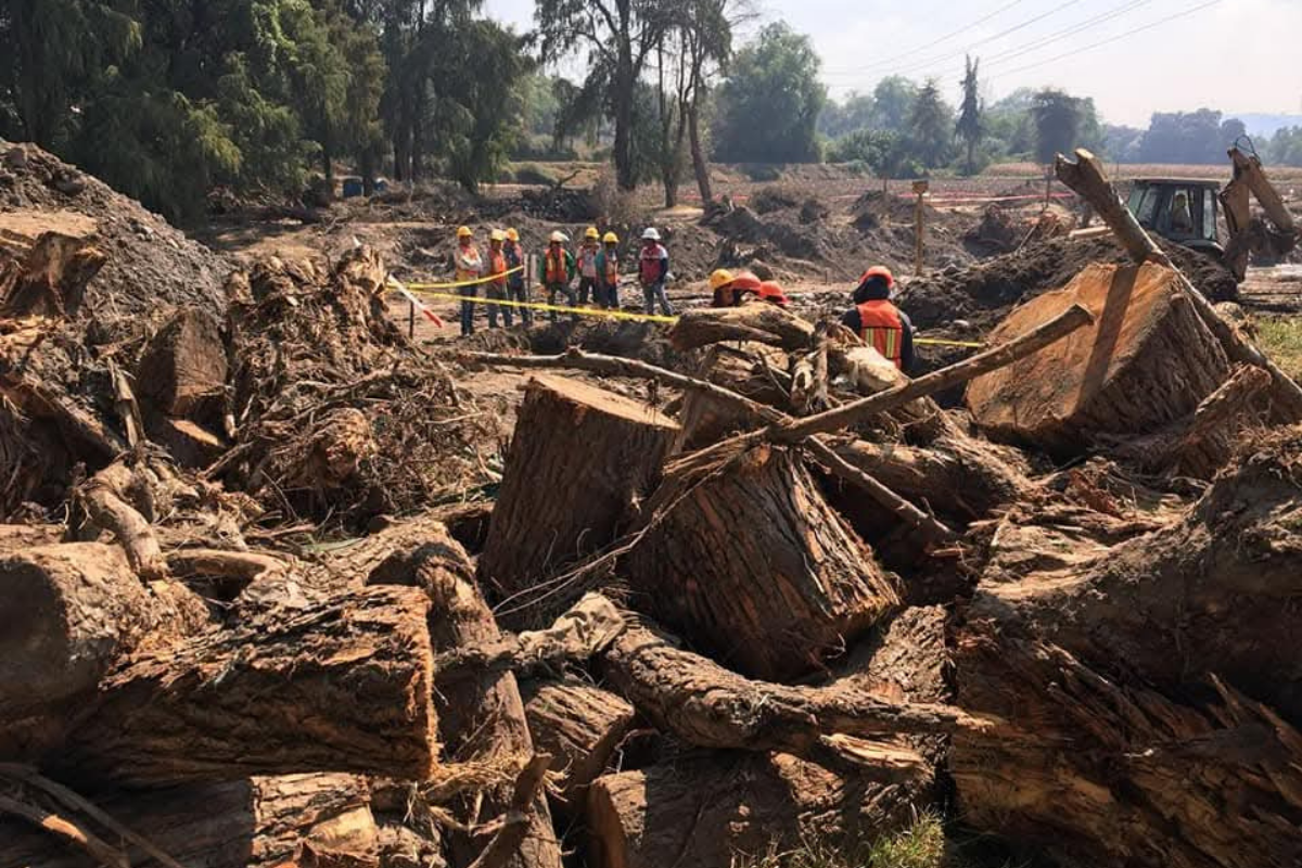 La tala de árboles centenarios en las riberas de los ríos Tula y Salado es uno de los puntos de conflicto en el proyecto de saneamiento, según los ambientalistas