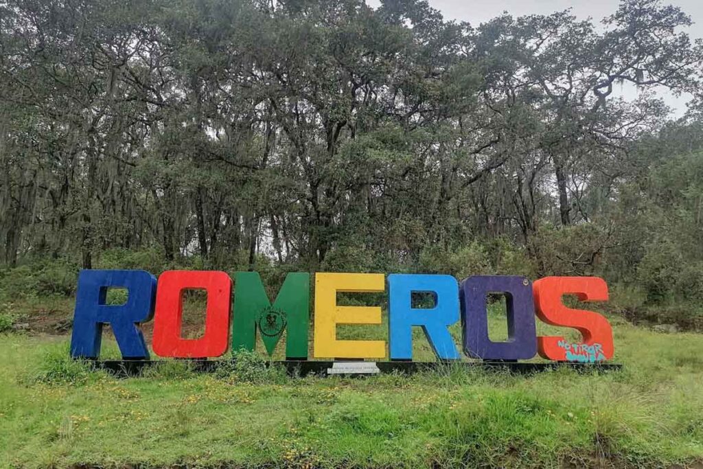 Vecinos de Los Romeros, Santiago Tulantepec, reportaron la muerte de una decena de perros