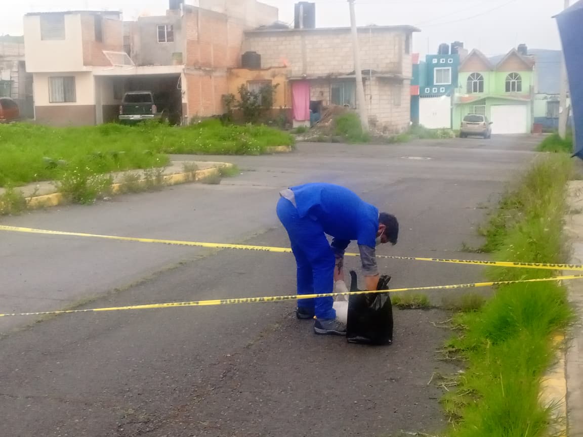 Vecinos de El Huixmí denuncian el envenenamiento de perritos y piden más vigilancia