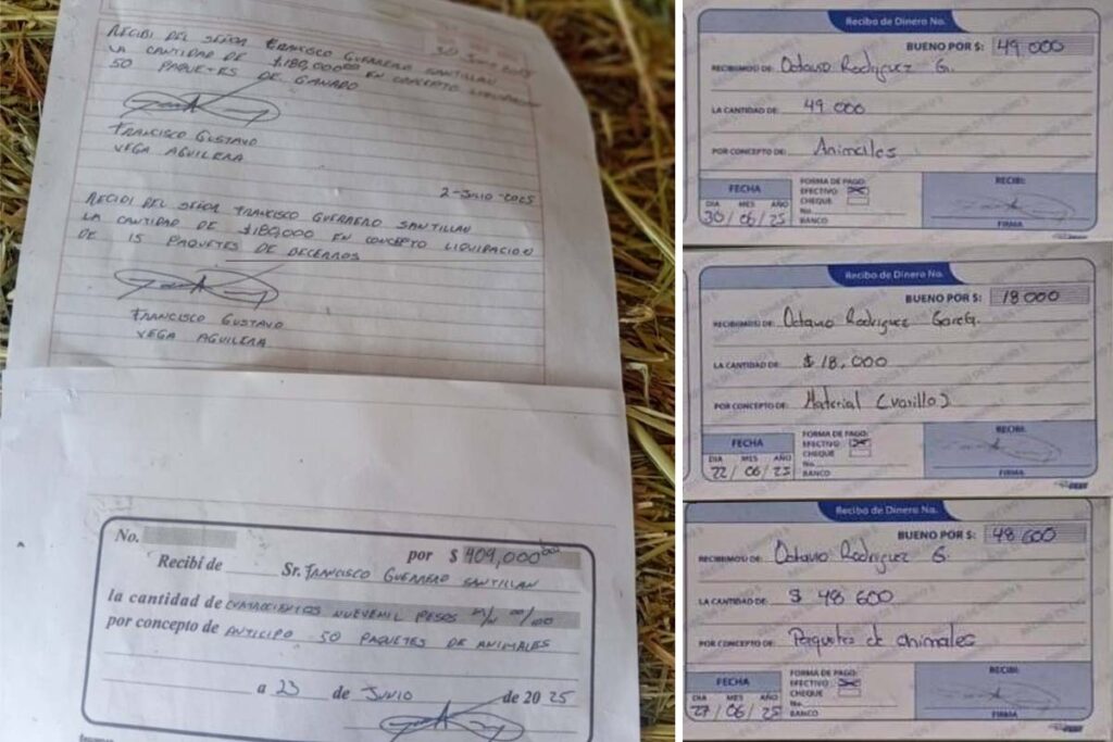 En varios municipios del   Valle del Mezquital defraudaron a cientos de personas con paquetes agropecuarios 