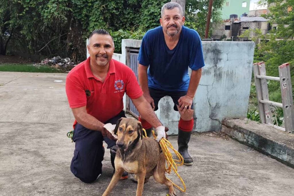 Bomberos de Huejutla rescataron a una perrita atrapada en un arroyo