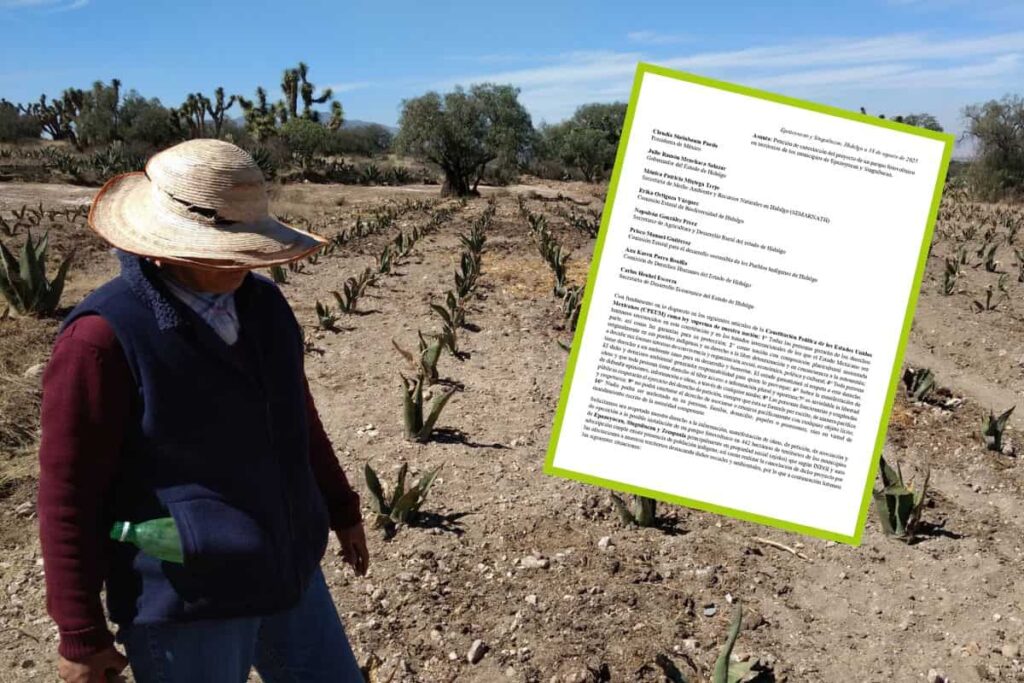 Comunidades de Epazoyucan exigen cancelar parque solar por falta de consulta