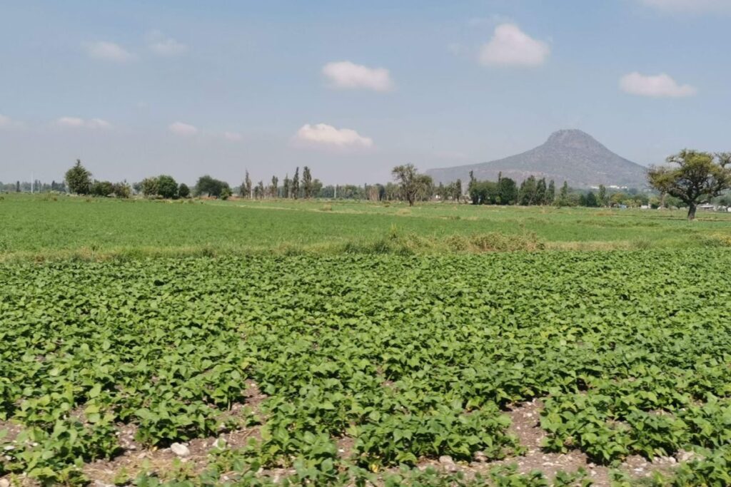 Campesinos de Tula denuncian ola de robos y exigen mayor seguridad a las autoridades