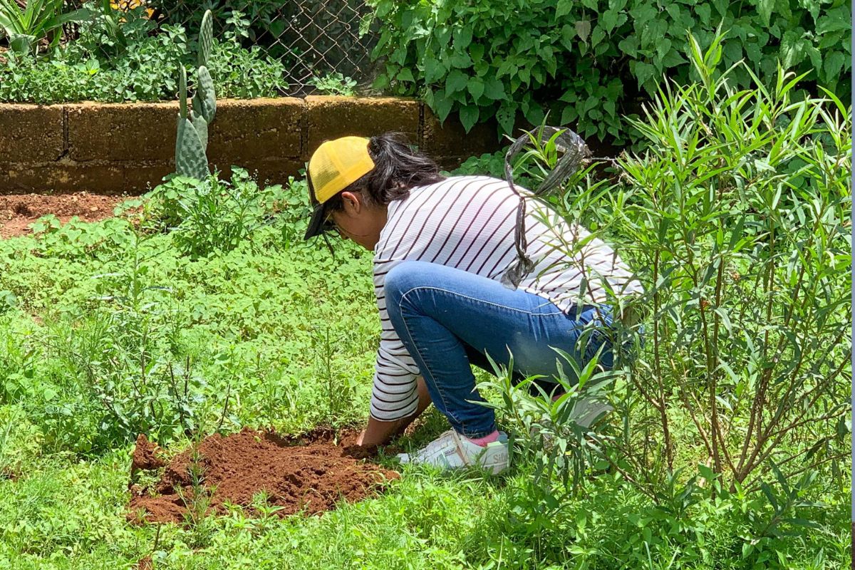 Los habitantes de Huasca participan activamente en la reforestación de sus comunidades