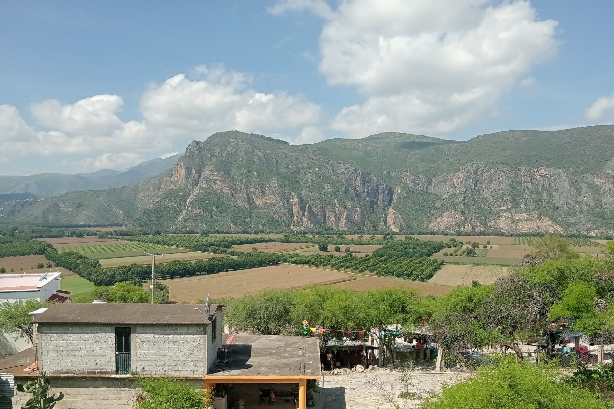 El líquido de la presa invadió sembradíos de ejidos de Metztitlán y Eloxochitlán | Foto: Martha Sáenz