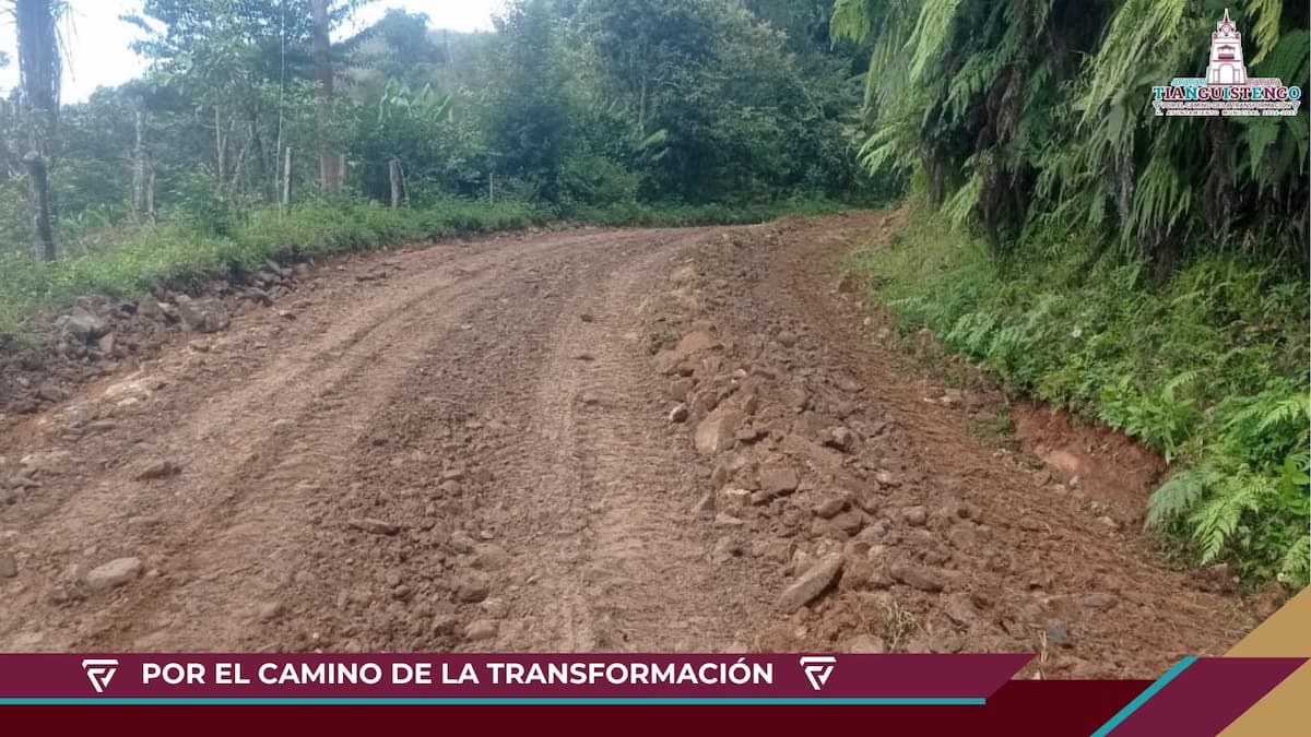 El Gobierno Municipal de Tianguistengo, encabezado por el presidente profesor Febronio Rodríguez Villegas, lleva a cabo trabajos de mantenimiento en el camino que conecta a la comunidad de Texacal