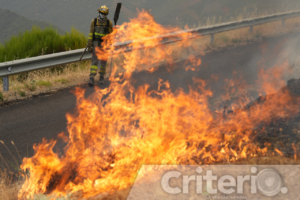 España enfrenta incendios sin precedentes que han quemado 70 mil hectáreas en pocos días. Los incendios, avivados por el calor extremo, son una de las consecuencias más visibles de la emergencia climática