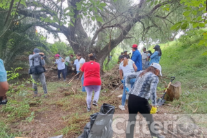 El Plan Hídrico avanza en Jalpa y La Chilchota con trabajos de limpieza, reforestación y restauración, tras años de pausa por falta de recursos presupuestales