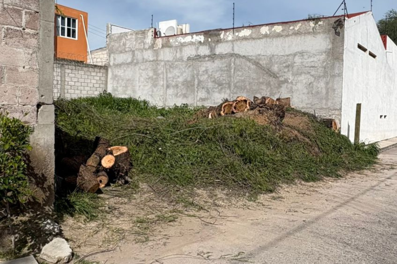 Vecinos de El Fitzhi señalan abuso de poder y posibles violaciones a leyes ambientales por parte de Rodríguez Dañu