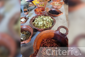 Música, cuentos, talleres de ixtle y danza tradicional forman parte del programa en González Ortega
