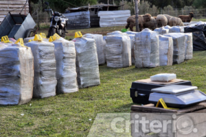 Policía uruguaya y Prefectura incautaron 2,200 kilos de droga que serían enviados al extranjero, posiblemente a Europa