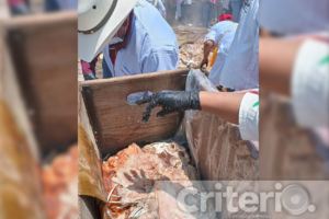 Tradición del Valle del Mezquital: un proceso de 8 a 14 horas para la barbacoa perfecta