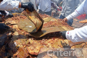 La técnica ancestral: carne envuelta en pencas de maguey y cocinada a horno de tierra