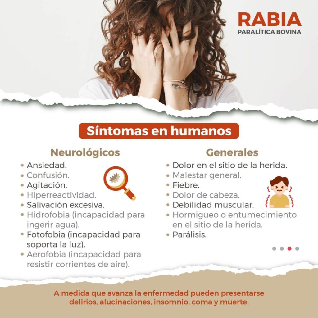 Autoridades de Zacatecas activan protocolos de prevención ante caso de rabia humanaAutoridades de Zacatecas activan protocolos de prevención ante caso de rabia humana