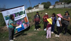 El primer rally ecológico de Cuautepec fue coordinado entre gobierno y sociedad civil