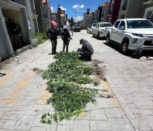 Guardia Nacional y Sedena resguardaron el perímetro durante la diligencia.