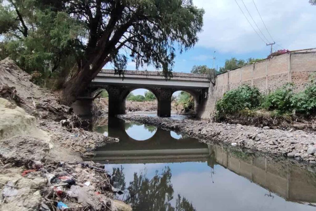 La Sipdus informó que, en lo que respecta al río Tula, en su tramo Pueblo Nuevo-Centro, los colectores solo obligarían a la tala de 17 árboles