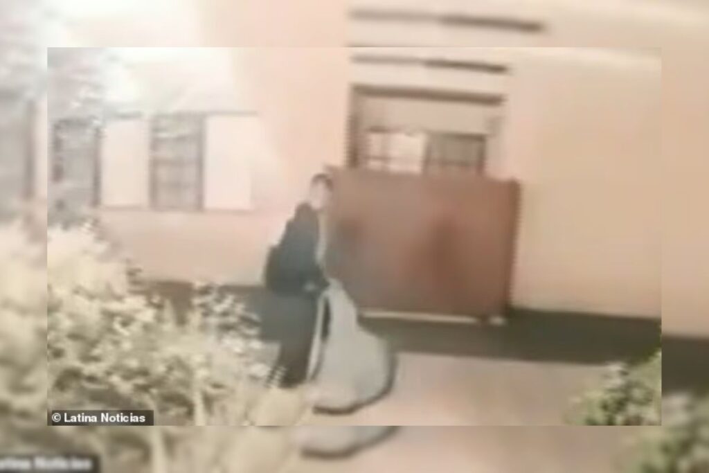 Mujer abandonó Perú para alcanzar el 