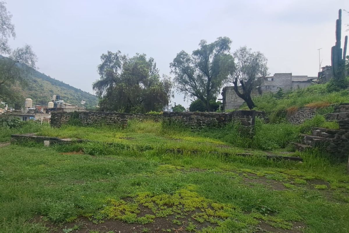 Debido a las lluvias, la hierba se encuentra alta y ha invadido los monumentos | Foto: Miguel Martínez